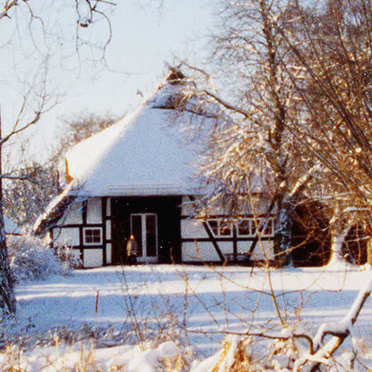 Schnee auf zugefrorenem See und Bäumen dahinter die Kunstscheune des Seehotel am Neuklostersee